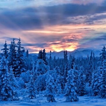 Il solstizio d’Inverno, le tradizioni e i suoi rituali