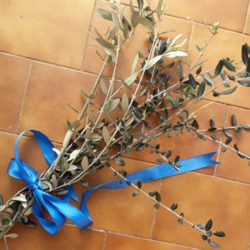 Domenica delle Palme, perché ci scambiamo i ramoscelli di ulivo benedetto?