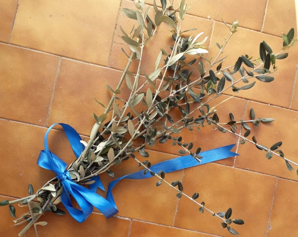 Domenica delle Palme, perché ci scambiamo i ramoscelli di ulivo benedetto?
