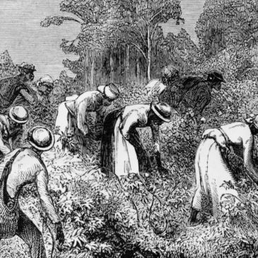 Accadde oggi: 19 giugno 1862, gli USA aboliscono la schiavitù