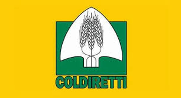 Cinghiali nel Sannio, Coldiretti: “a rischio le imprese agricole