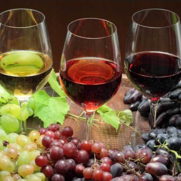 Accadde oggi: 12 luglio 1963, nasce il marchio DOC per i vini