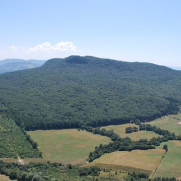 Immagini dal Sannio: la Riserva naturale di Collemeluccio – Montedimezzo