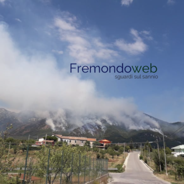 Incendio San Lorenzello, Gino Abbate: “rispettiamo l’ambiente e il nostro territorio”