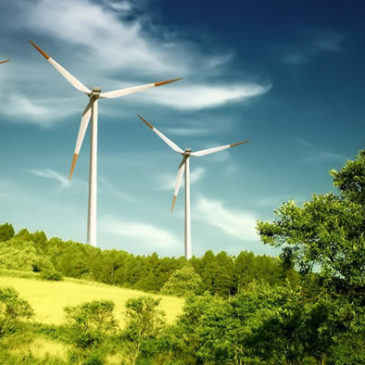 Firma la petizione per difenere l’Alto Tammaro da nuovi impianti eolici