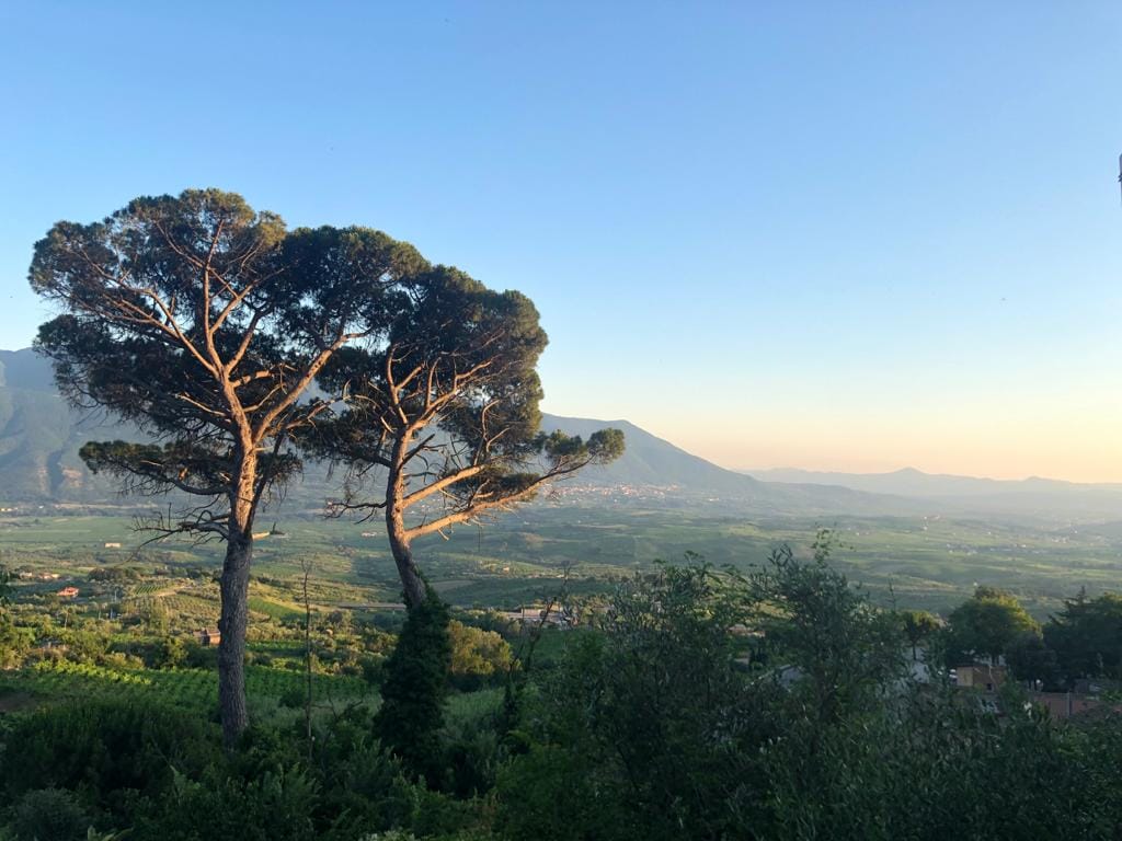 C’è sempre il sole a Guardia Sanframondi, anche all’ombra di due pini
