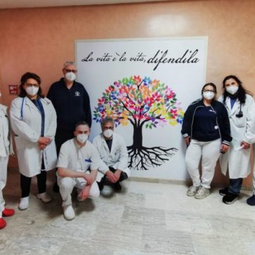 Day Hospital di oncologia del Fatebenefratelli di Benevento: è arrivata l’immagine dell’albero della vita