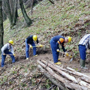 Forestazione, la Provincia assume a tempo determinato 29 operai