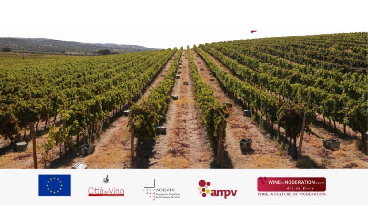 Tutto pronto per la Giornata mondiale dell’Enoturismo, siglata da Recevin e Città del Vino