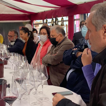 Merano Wine Festival: tanti visitatori a “Casa Sannio”