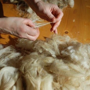 Immagini dal Sannio: l’antica attività manifatturiera della lana di Cerreto Sannita
