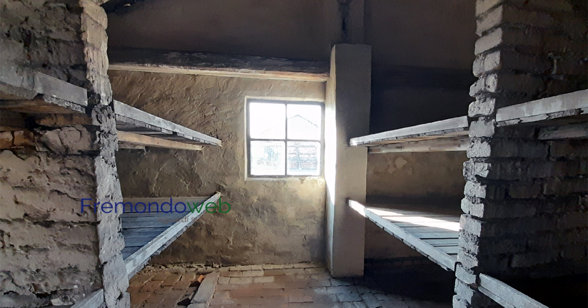 Unifortunato, mercoledì 11 laboratorio interdisciplinare sulla Shoah