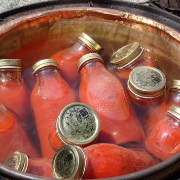 La passata di pomodori fatta in casa, vera tradizione del Sannio rurale