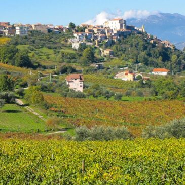 A Torrecuso torna “VinEstate”, la rassegna dedicata ai vini del Taburno