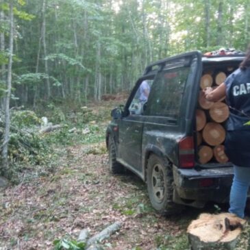 Pietraroja, furto di legna nel Parco del Matese: arrestato il terzo complice