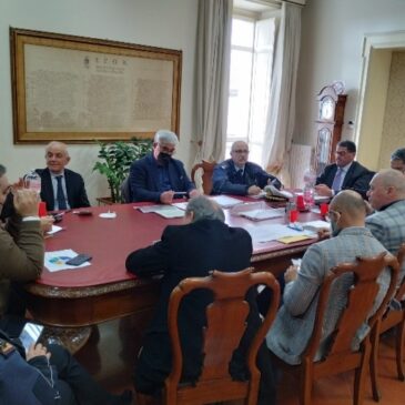 Benevento, pericolo cinghiali: le misure decise dal briefing a Palazzo Mosti