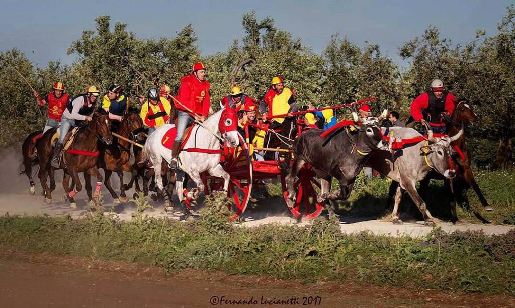 Le Carresi di San Martino in Pensilis, foto di copertina di Fernando Lucianetti