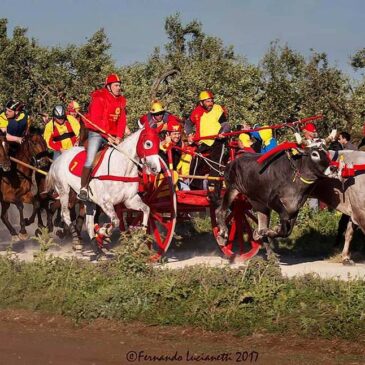 Immagini dal Sannio: le Carresi del Basso Molise, tradizionale rappresentazione del maggio