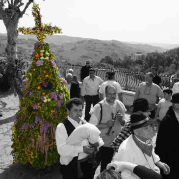 Immagini dal Sannio: la “Pagliara Maje Maje”, l’antico rito del maggio