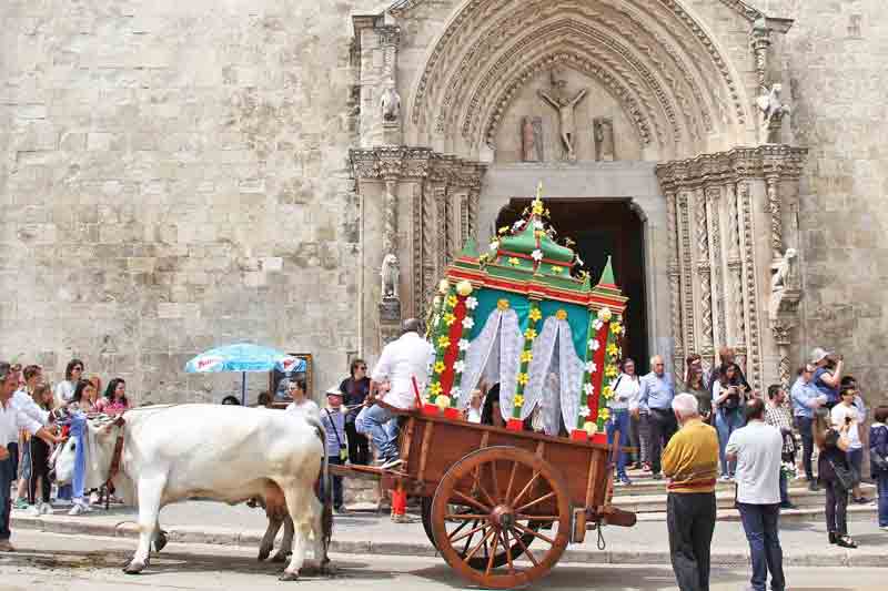 Larino, la Carrese di San Pardo, foto tratta da www.turismoinmolise.com/san-pardo-larino/