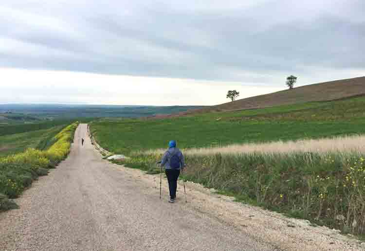 Il Tratturo Celano-Foggia, a San Giuliano di Puglia, foto tratta da molisetrekking.com