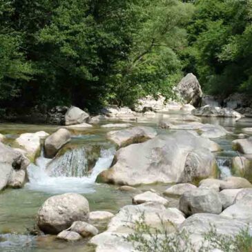 Immagini dal Sannio: itinerari e percorsi naturalistici in Valle Telesina