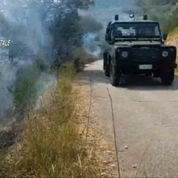 Incendi boschivi dolosi in Valle Telesina, arrestato un uomo di Vitulano