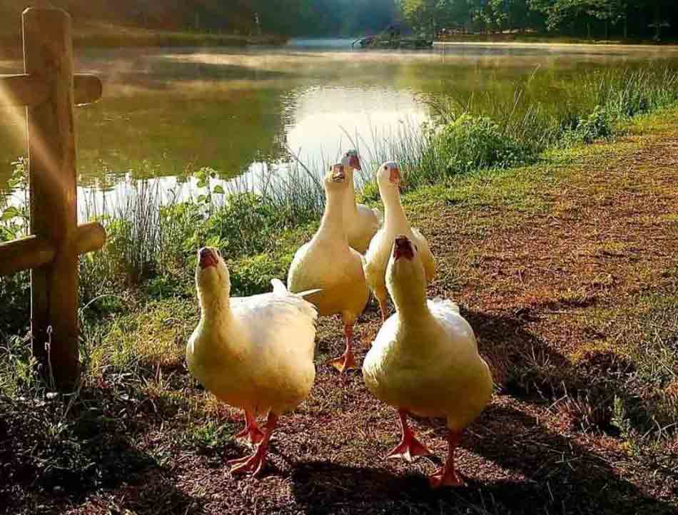 Benvenuti nel Sannio: il lago di Decorata (FOTO)