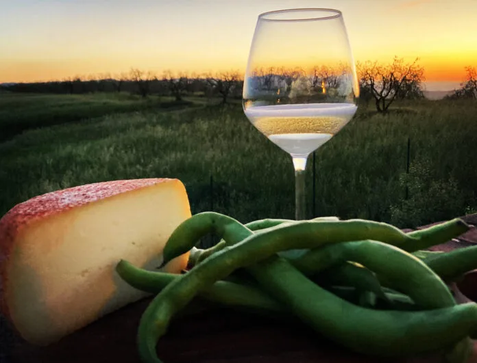 La Falanghina è il vino giusto da abbinare a pane, fave e pecorino