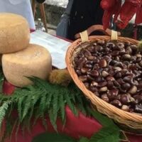 Sagra della Castagna e del Pecorino Vitulanese, ufficializzato il programma artistico e musicale