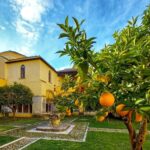 Chiostro di Santa Sofia e del Giardino del Mago, apertura straordinaria per "Alchimia d'Autunno" chiostro santa sofia