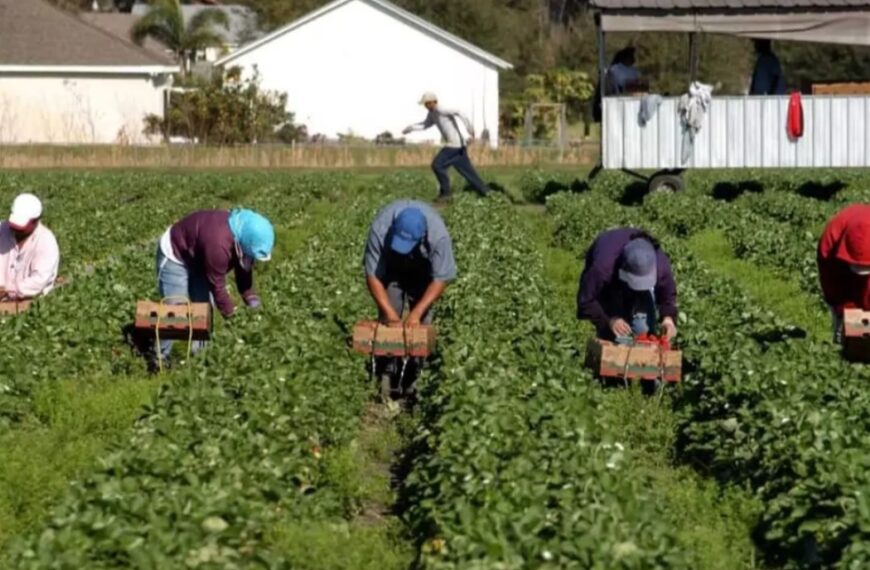 Caporalato in agricoltura, gli strumenti della Coldiretti Campania per contrastarlo