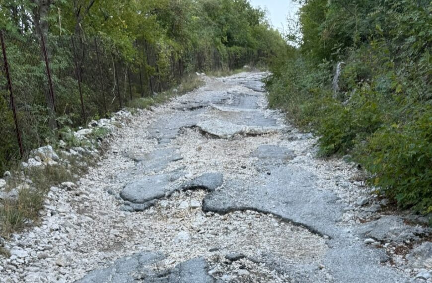 Cusano Mutri, l’opposizione all’attacco: strada inagibile per la raccolta delle castagne