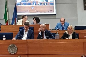 Endometriosi, Errico (FI): “Trasformare i diritti riconosciuti in cure accessibili per tutte le donne”