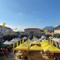 Cerreto Sannita celebra l’olio nuovo: tornano le Domeniche dell’Olio