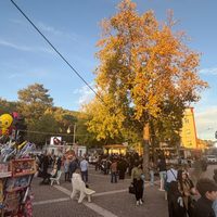 Telese, Zucc-Art 2026: una giornata di creatività e condivisione